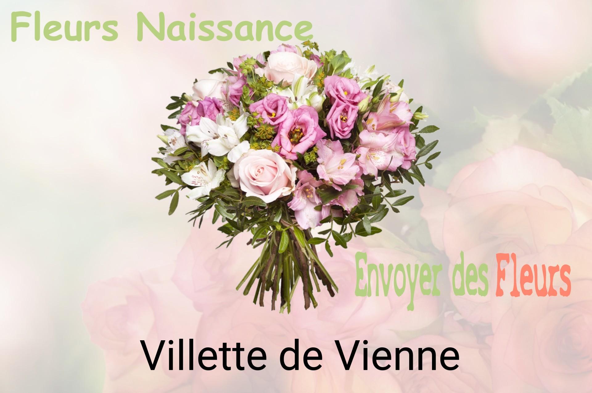 Bouquet de fleurs de naissance livré à Villette-de-Vienne