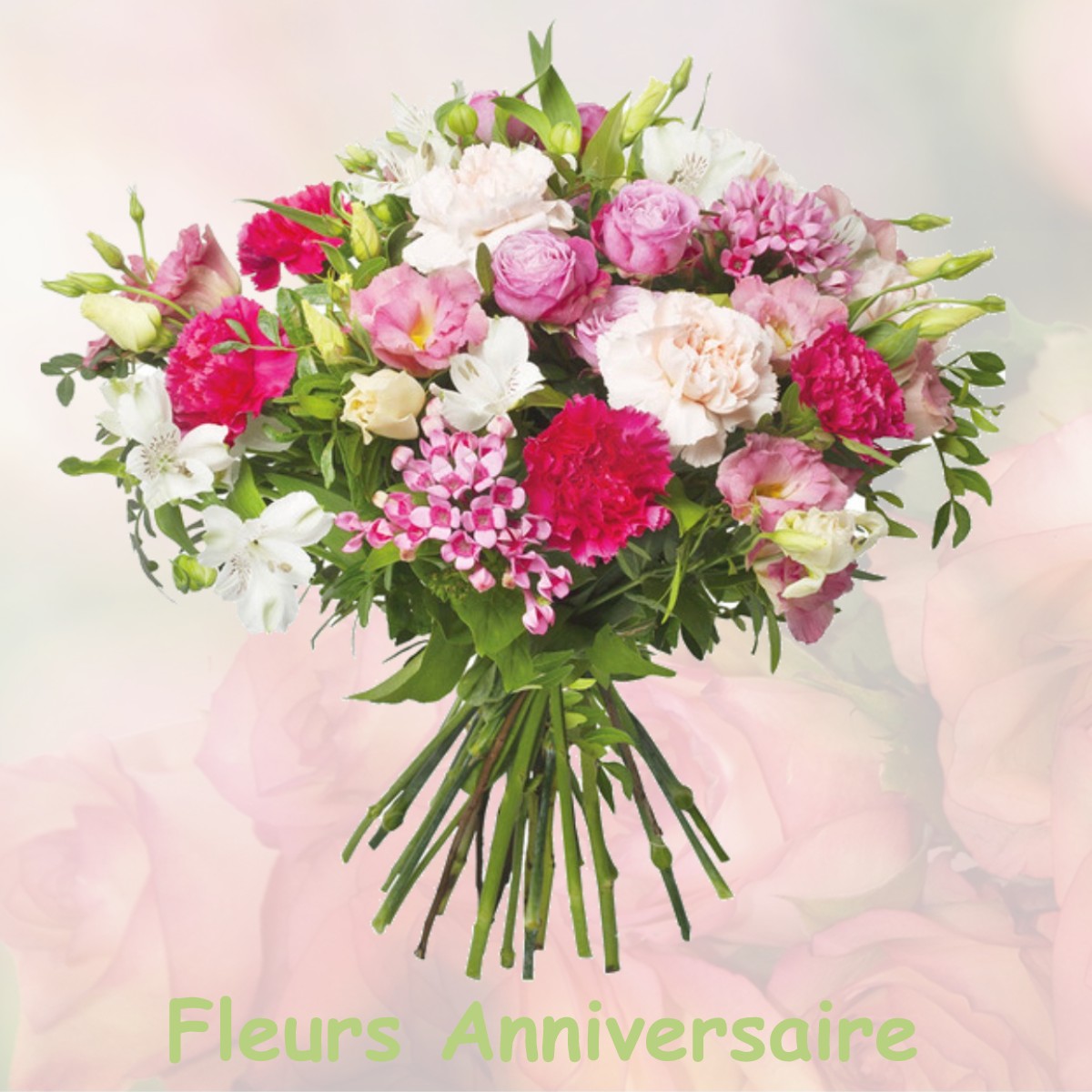 fleurs anniversaire VILLETTE-DE-VIENNE