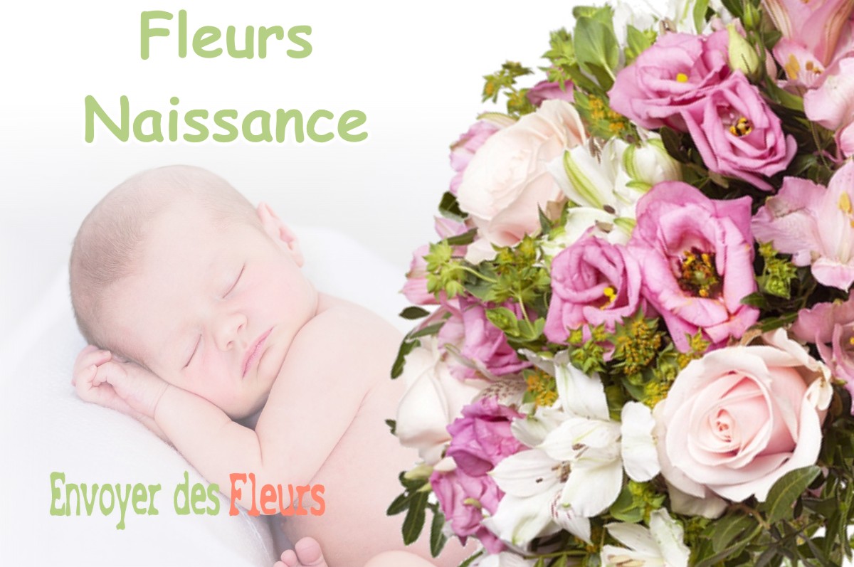 lIVRAISON FLEURS NAISSANCE à VILLETTE-DE-VIENNE